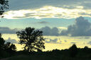 dusk-on-the-bayou-1389132.jpg