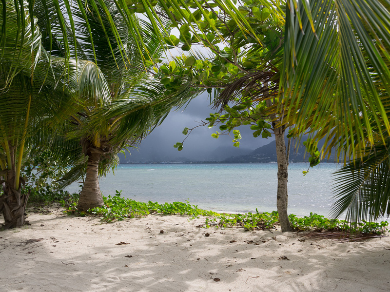 Changing Conditions
The local weather changes rapidly in the tropics. Distant storm with lovely sun here on the island
