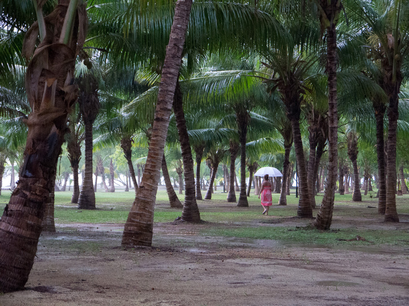 Girl in the storm
Heavy rain through the palms
