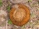 P1000044.jpg