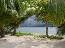 P1000046.jpg