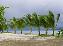 P1000049.jpg