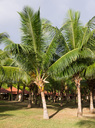 P1000080.jpg