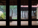 P1000096.jpg